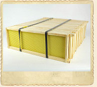 6 1/4" Assembled Frames with Foundation, 20 Pack 6 1/4" Assembled Frames with Foundation, 20 Pack