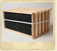 9 1/8" Assembled Frames with Foundation, 10 Pack 9 1/8" Assembled Frames with Foundation, 10 Pack