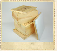 Double-Up Hive Kit Double-Up Hive Kit