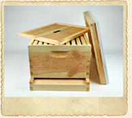Tier One Hive Kit Tier One Hive Kit