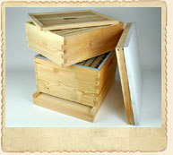 Tier Two Hive Kit Tier Two Hive Kit